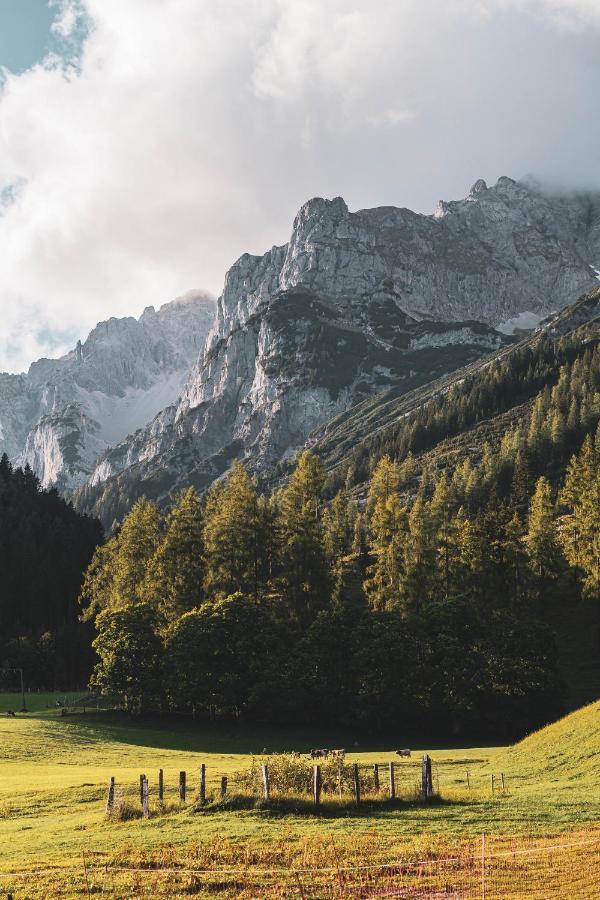 Bio Hotel Feistererhof - Charmant Naturlich Seit 1448 Ramsau am Dachstein Extérieur photo